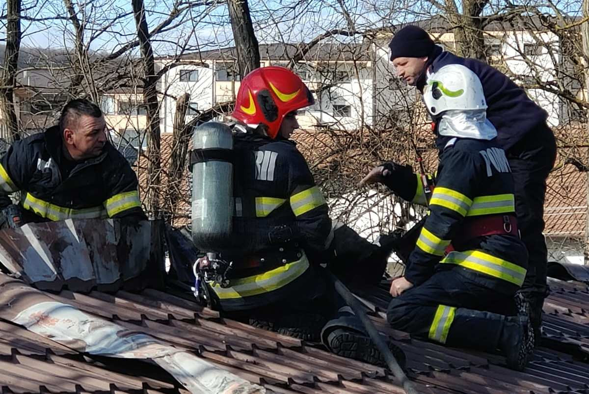 Incendiu la pavilionul maimuțelor din Grădina Zoologică Râmnicu Vâlcea. 12 babuini se aflau în încăperea care a luat foc