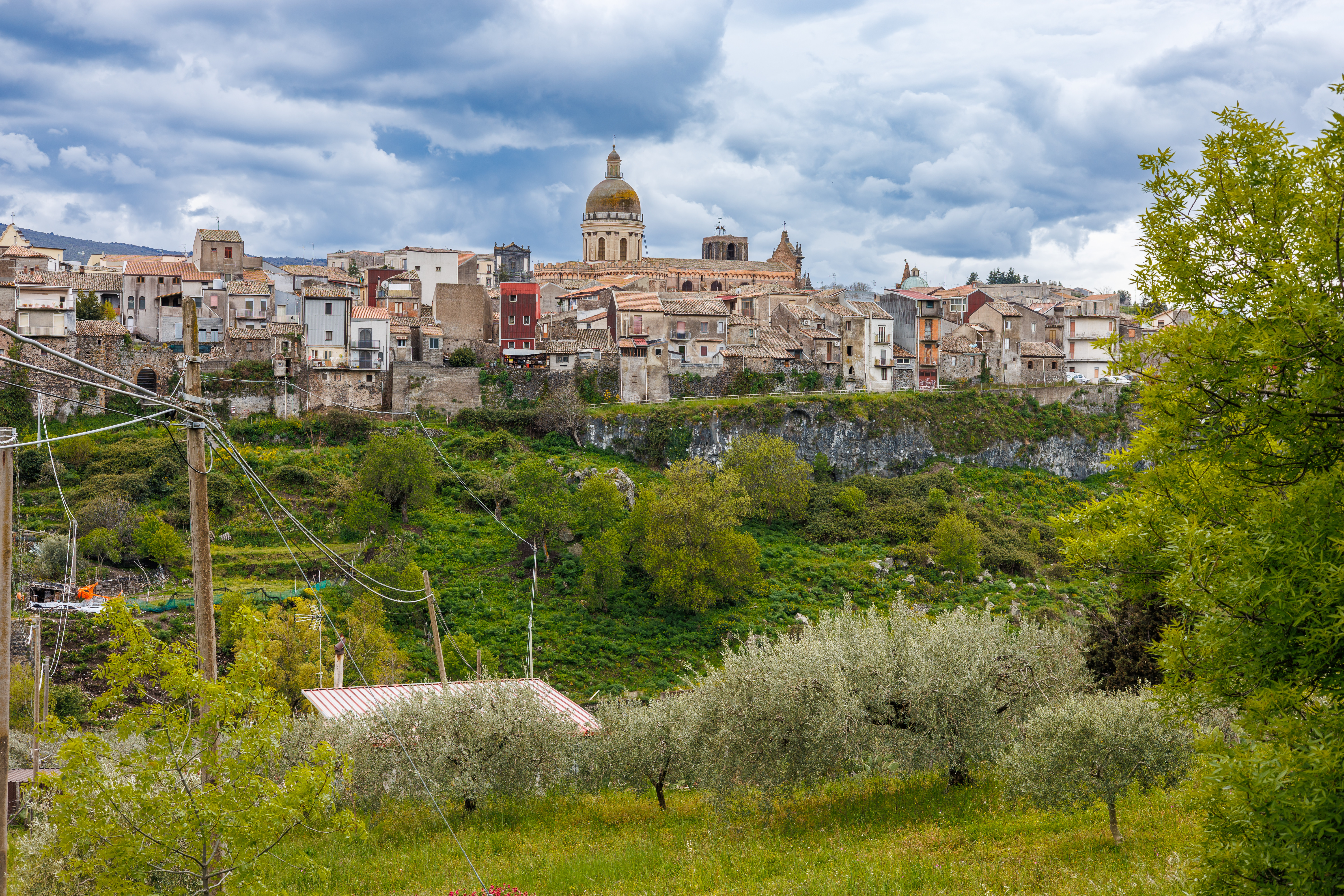 O comună din Italia reduce taxele de salubrizare cu până la 200 de euro pe an pentru cei care adoptă un câine