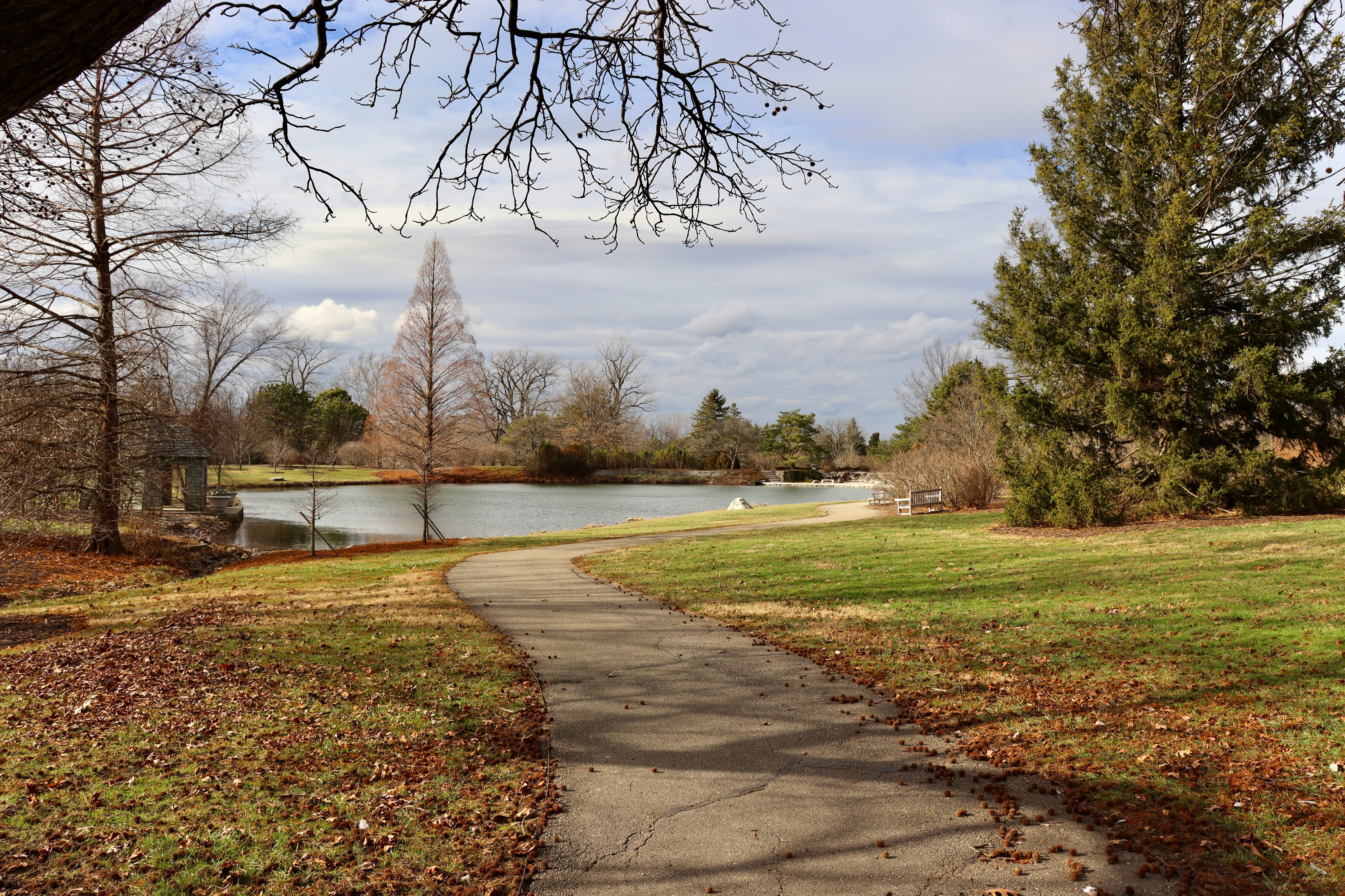 Comoara descoperită de un turist într-un parc din SUA. Valorează 26.000 de euro | FOTO