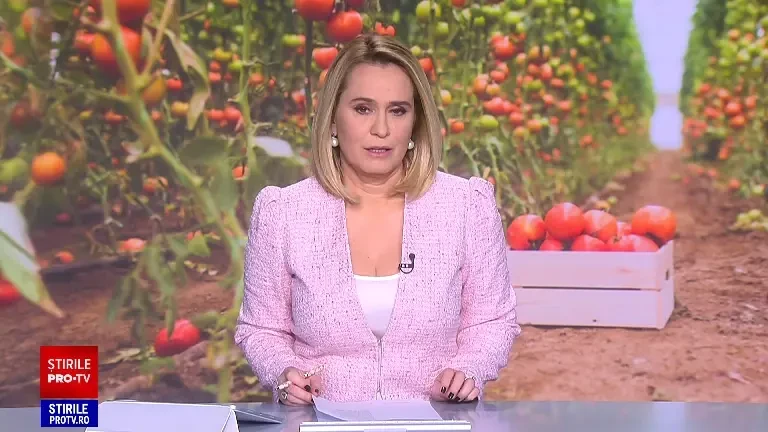 Roșiile românești vor ieși pe piață mai devreme anul acesta. Fermierii vor să țină prețurile la nivelul anului trecut