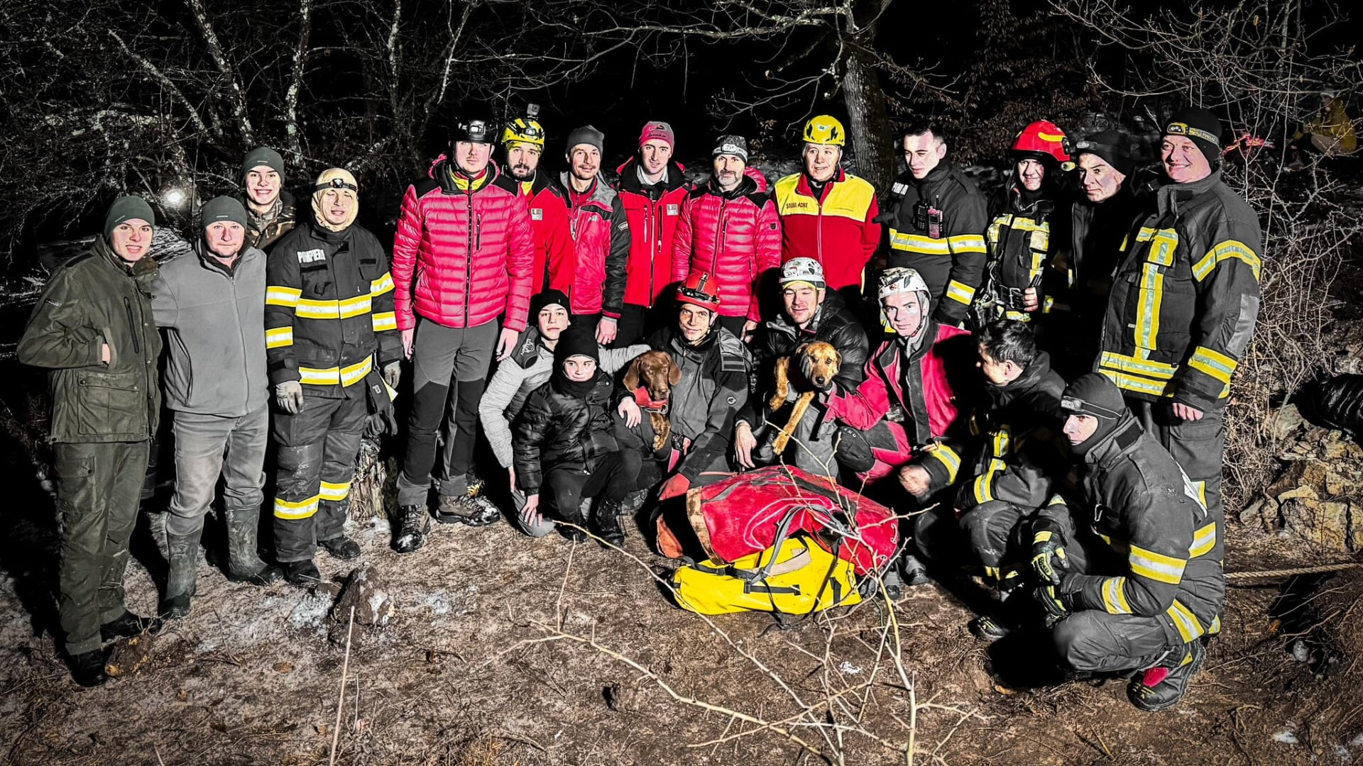 Cum au fost salvați doi căței căzuți într-o groapă adâncă de 15 metri, în Brașov. Au stat acolo două zile | VIDEO