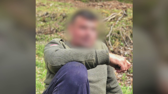 Bărbat din Maramureș, reținut după ce și-a încurajat câinele să ucidă un altul fără stăpân. Individul a filmat totul