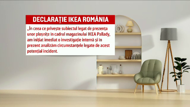 ploșnițe Ikea