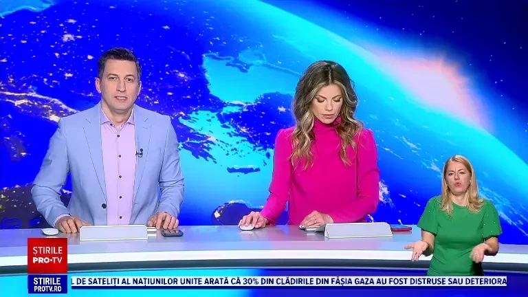 Tot mai mulți britanici își abandonează pisicile de rasă, din cauză că nu știu să le întrețină