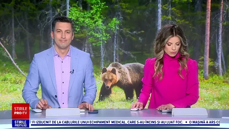 Phil, cel mai celebru „meteorolog” american, a prezis o primăvară timpurie. FOTO