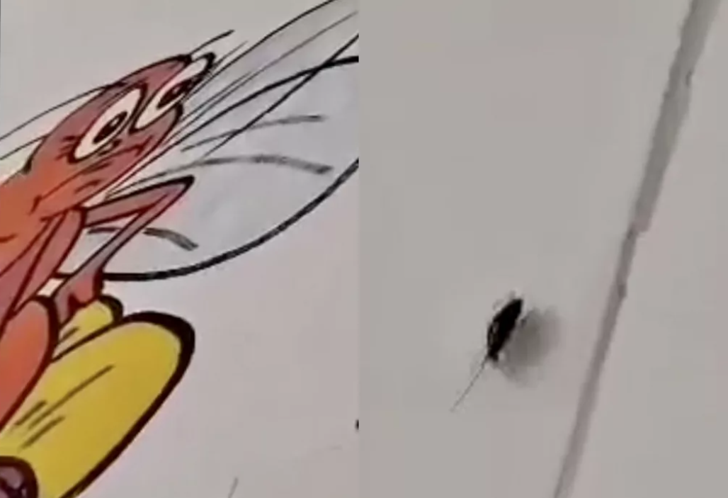 Copiii sunt tratați printre gândaci, la Spitalul Județean Botoșani. ”Mizerie ruptă parcă dintr-un film de groază”