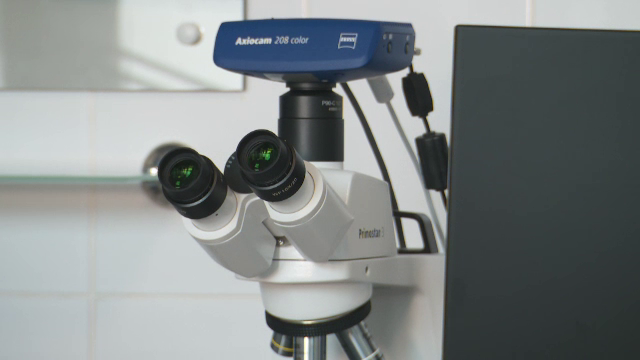 Nouă specializare în universitățile din România. Ce învață studenții la cursurile de "cosmetică medicală"