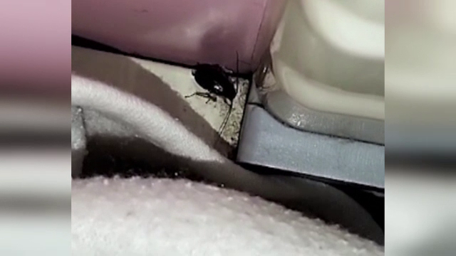 „Mișuna gândacul pe lângă copil, prin pătuț”. Reacția spitalului din Botoșani după apariția imaginilor cu gândaci pe internet