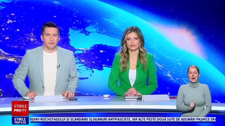 Cât costă să duci cățelul la coafor. Hairstyliștii îi pot tunde și vopsi în funcție de personalitate