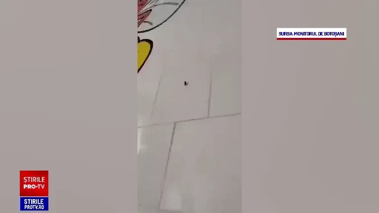 Copiii sunt tratați printre gândaci, la Spitalul Județean Botoșani. ”Mizerie ruptă parcă dintr-un film de groază”