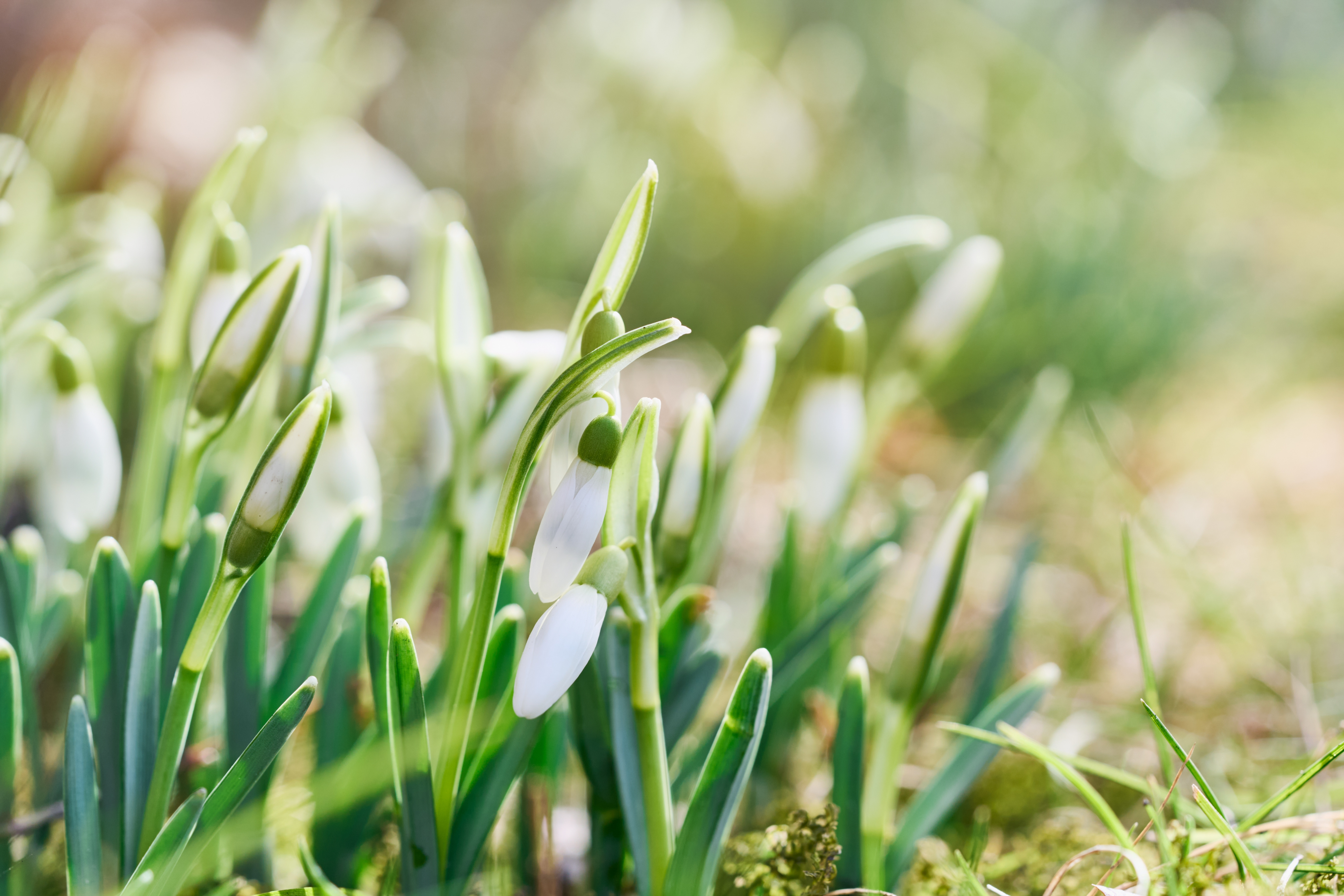 Cum va fi vremea în următoarele două săptămâni. Prognoza meteo pe regiuni