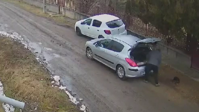 Amenda primită de un bărbat din Cluj care a fost filmat în timp ce abandonează trei căței pe marginea unui drum