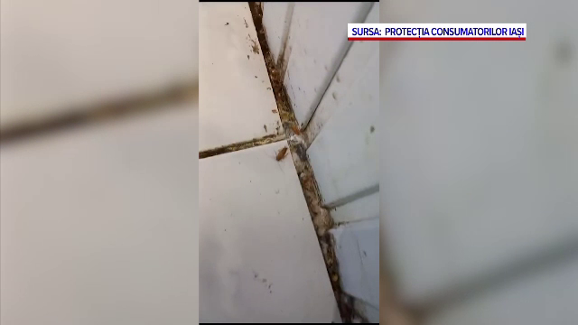 Ce a găsit în farfurie clientul unui restaurant chinezesc din Iași. Localul a fost închis de ANPC