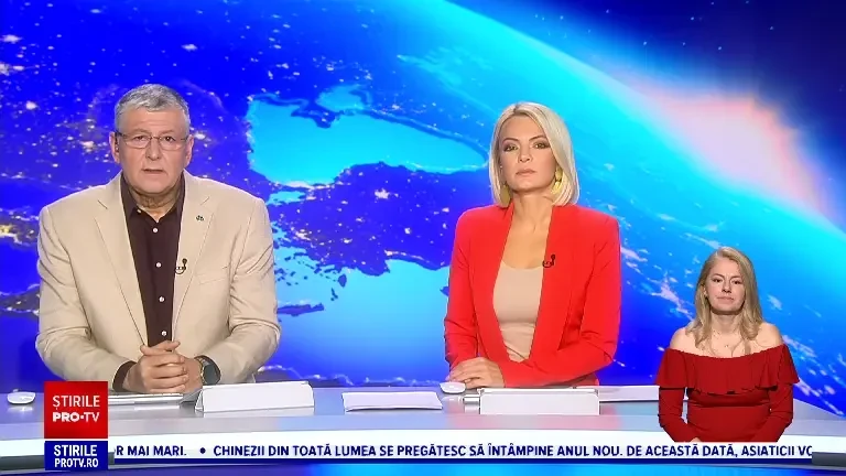 Amenda primită de un bărbat din Cluj care a fost filmat în timp ce abandonează trei căței pe marginea unui drum