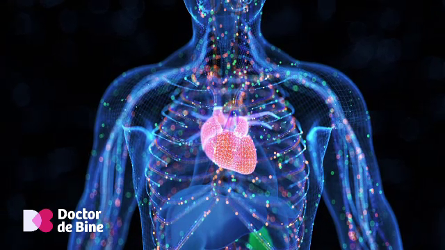 Mineralele de care avem nevoie ca inima să aibă o activitate corectă. Deficitul ar însemna aritmii cu puls scăzut