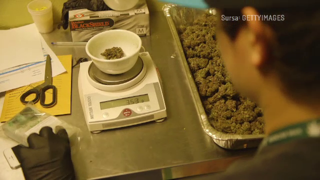 O grupare din Iași care ar fi pus în vânzare droguri sintetice extrem de periculoase, destructurată