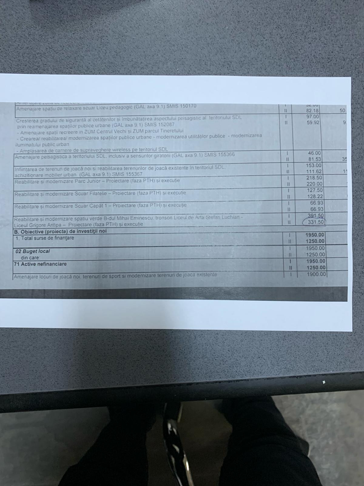 Cât au costat crinii și lalelele plantate în Botoșani de primar pentru amanta lui. Edilul se află sub control judiciar