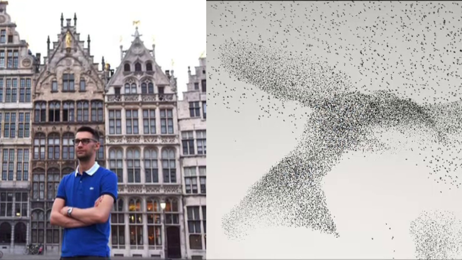 O fotografie realizată de un român, printre cele mai frumoase fotografii de natură în cadrul unui concurs din Londra