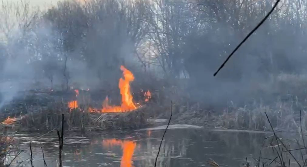 VIDEO. Încă un incendiu de proporții în Parcul Natural Văcărești. S-a emis RO-Alert și se intervine în forță cu autospeciale