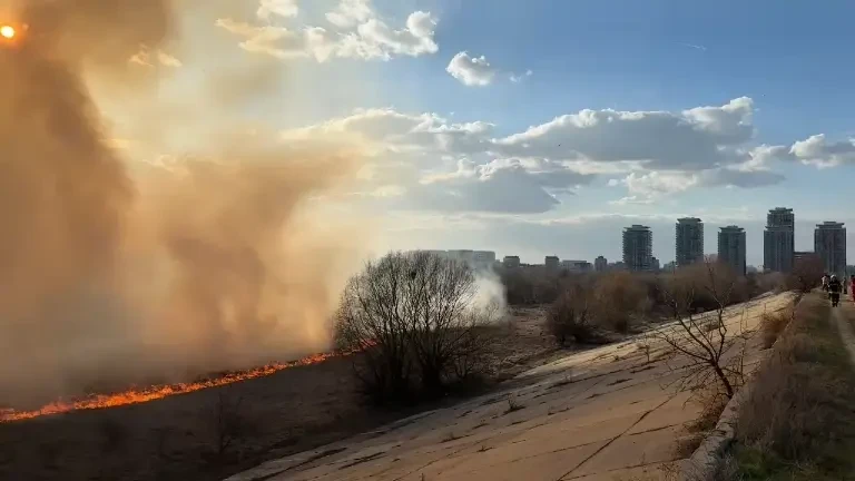 Mobilizare de forțe la încă un incendiu de proporții în Parcul Natural Delta Văcărești. A fost emis RO-Alert