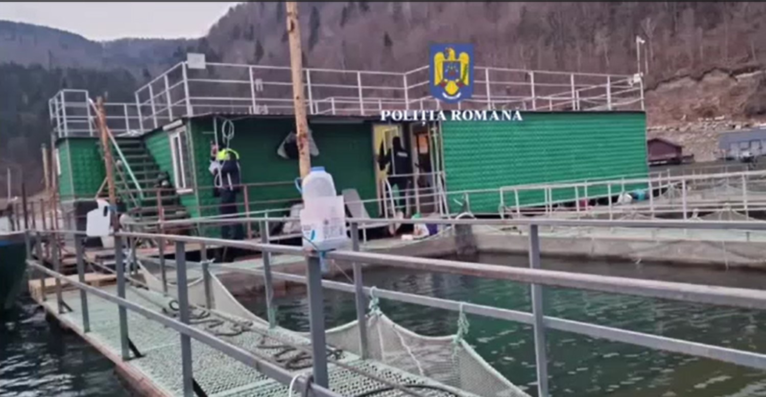 Paznici de vânătoare, anchetați pentru braconaj. Polițiștii au avut un șoc când le-au percheziționat casele. Ce au descoperit