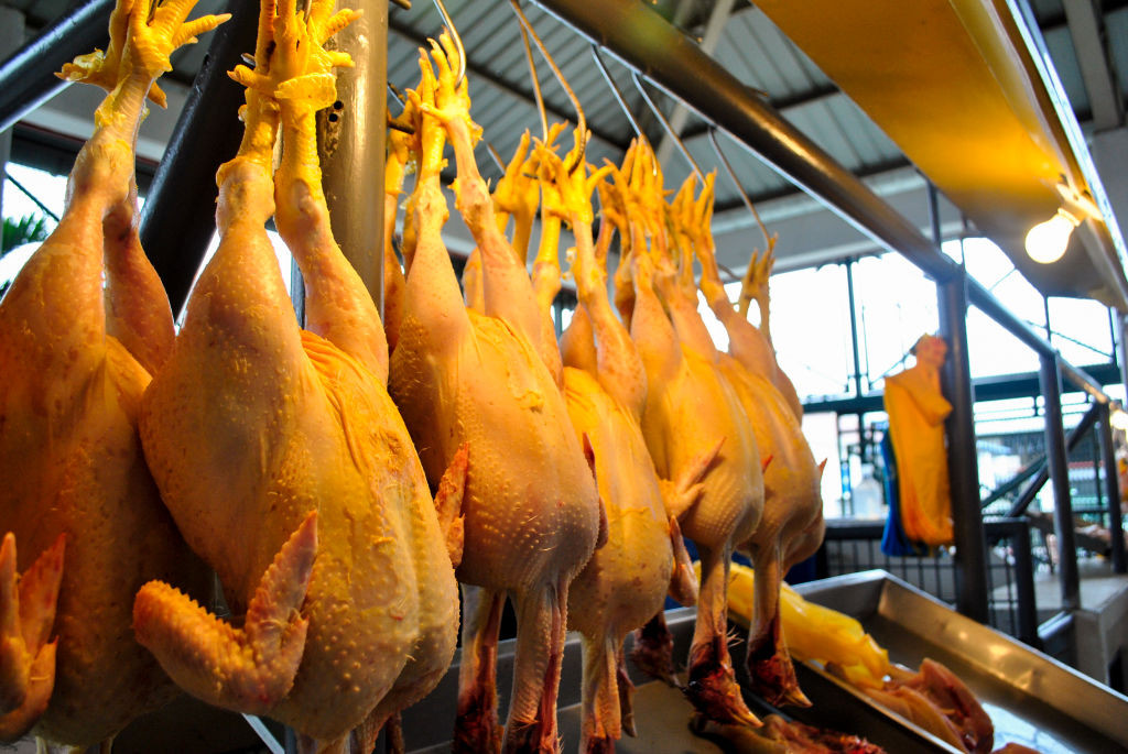 ANPC a dat-o la întors: ”Puiul vopsit” era doar o metaforă. Noul șef al Autorității: Suntem o instituție care nu doarme