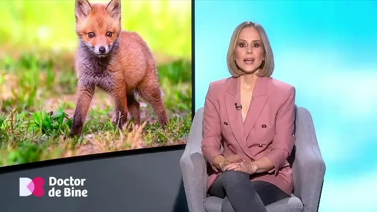 Legătura dintre oxidul nitric și sănătatea noastră. Cum se păstrăm arterele în stare perfectă