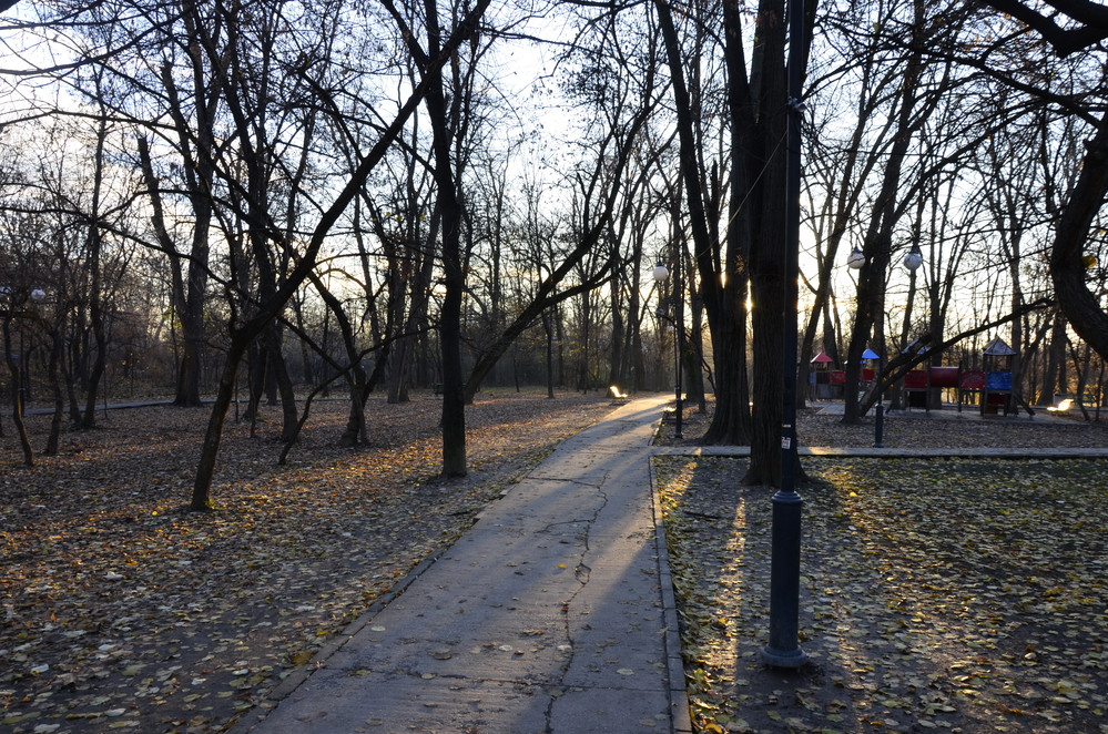 Vremea azi, 23 octombrie. Zonele unde temperaturile vor fi în creștere