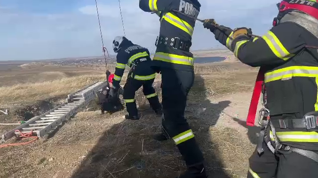 O echipă de pompieri a salvat un câine dintr-o groapă adâncă de 30 de metri. Patrupedul era acolo de câteva zile