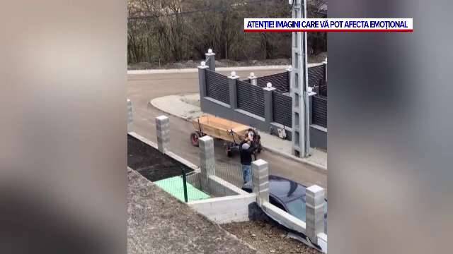 Scene șocante într-o localitate din Cluj. Doi indivizi, filmați când lovesc cu brutalitate un cal. VIDEO