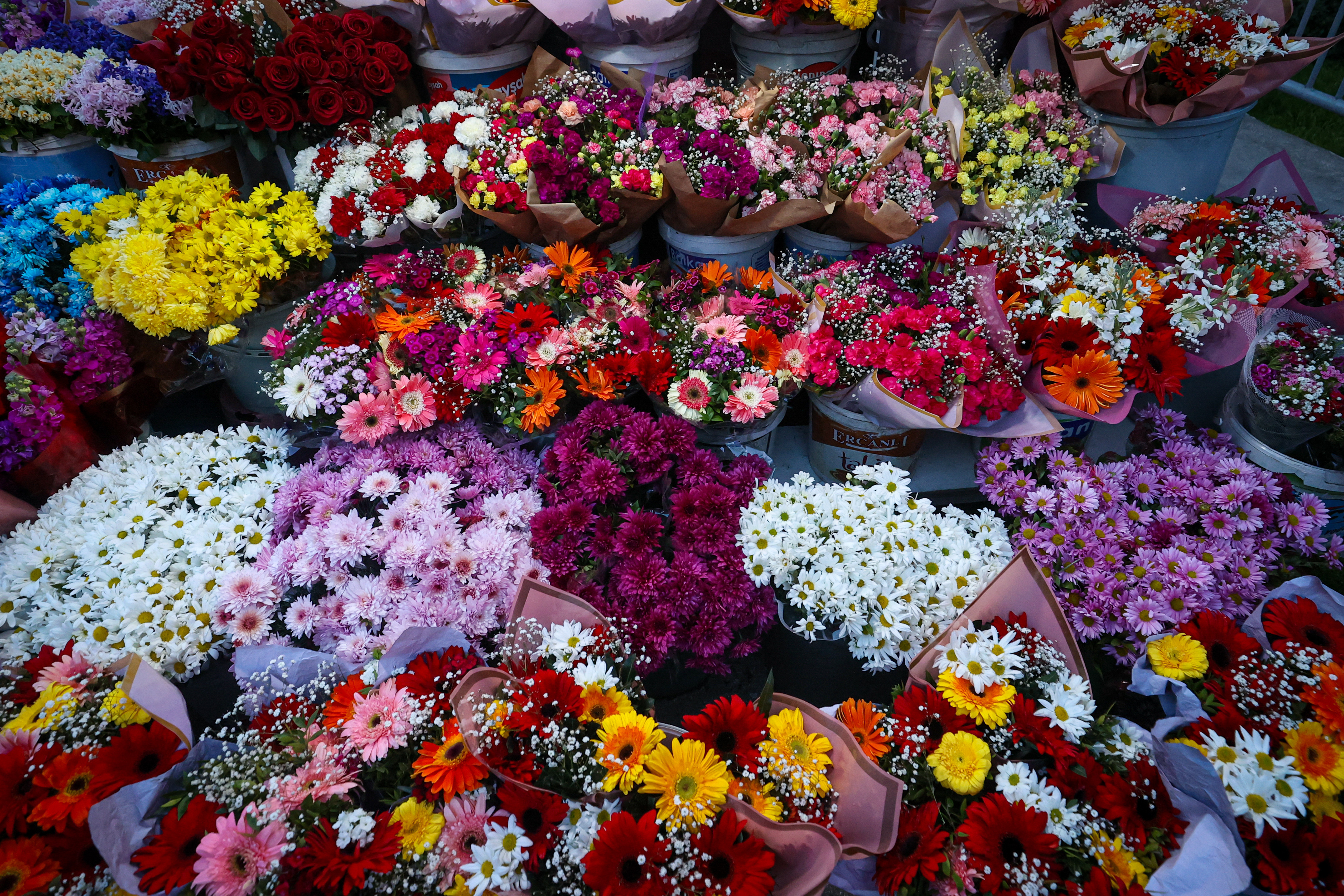 Mesajul secret din spatele unui buchet de flori oferit de Valentine’s Day. Ce reprezintă fiecare floare