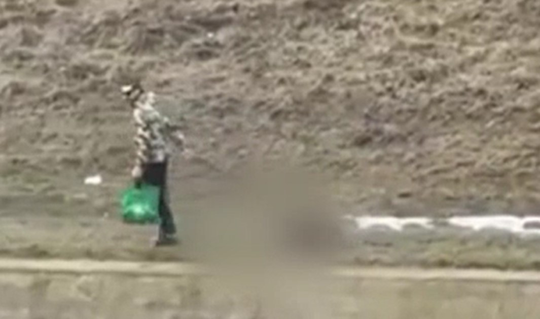 Un bărbat din Iași a fost filmat în timp ce își bătea câinele pe stradă. Polițiștii îl caută pe individ