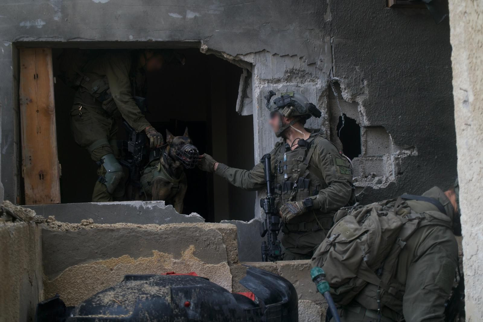 Israel, IDF, soldati