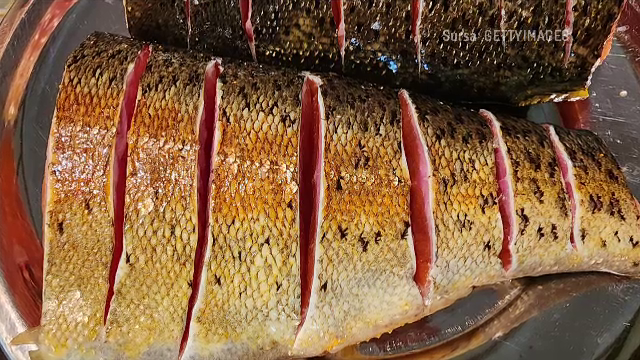 Misteriosul salmo labrax. Epopeea păstrăvului de Dunăre care poate trăi și la malul Mării Negre