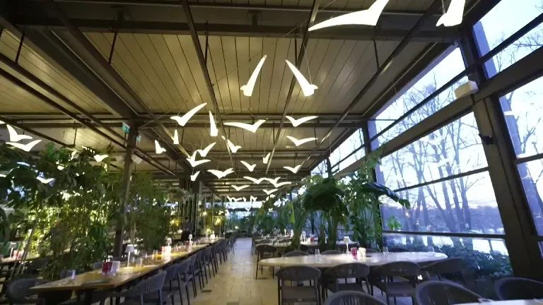 (P) Aplicația OUT4FOOD – mănâncă fără să plătești