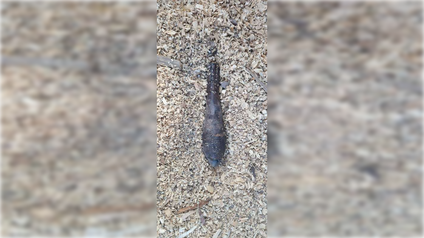 Bombă de aruncător din Al Doilea Război Mondial, găsită într-un pârâu, în Harghita | FOTO