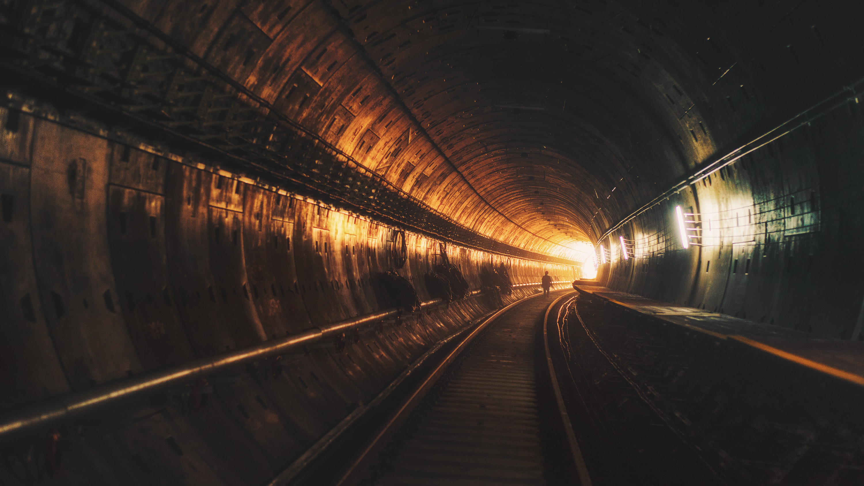 Descoperire incredibilă la metrou. Are peste 120.000 de ani vechime