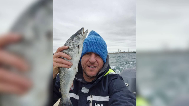 Cum a ajuns păstrăvul de apă dulce să trăiască în Marea Neagră. Carnea lui este roz