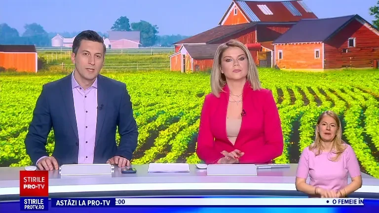 Producția de legume a scăzut în ultimii ani, în ciuda ajutoarelor de stat. Românii mănâncă tot mai mult din import