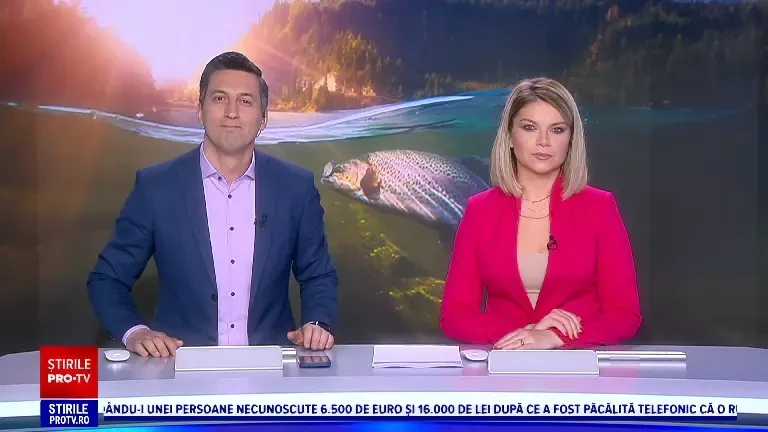 Cum a ajuns păstrăvul de apă dulce să trăiască în Marea Neagră. Carnea lui este roz