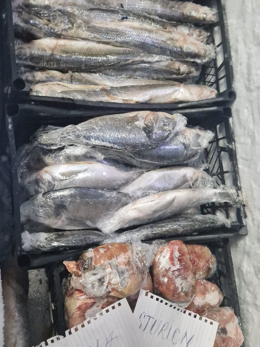 Pește în putrefacție și legume mucegăite, în meniul unei cherhanale din Constanța. Ce a urmat