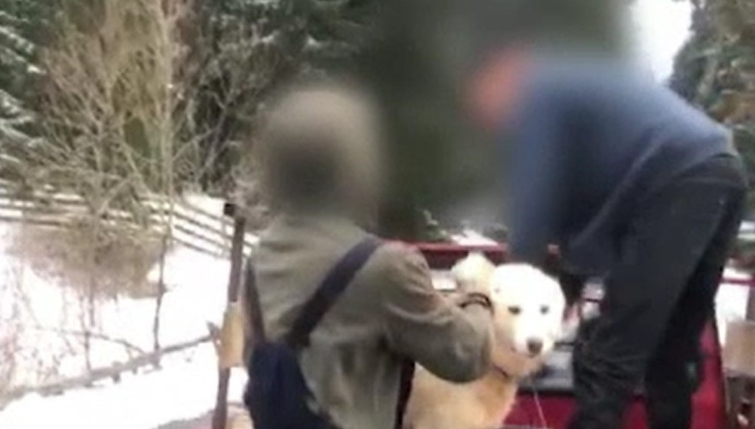 Trei bărbați au vrut să abandoneze doi câini la marginea drumului, dar au fost prinși în fapt și filmați. Ce amendă au primit