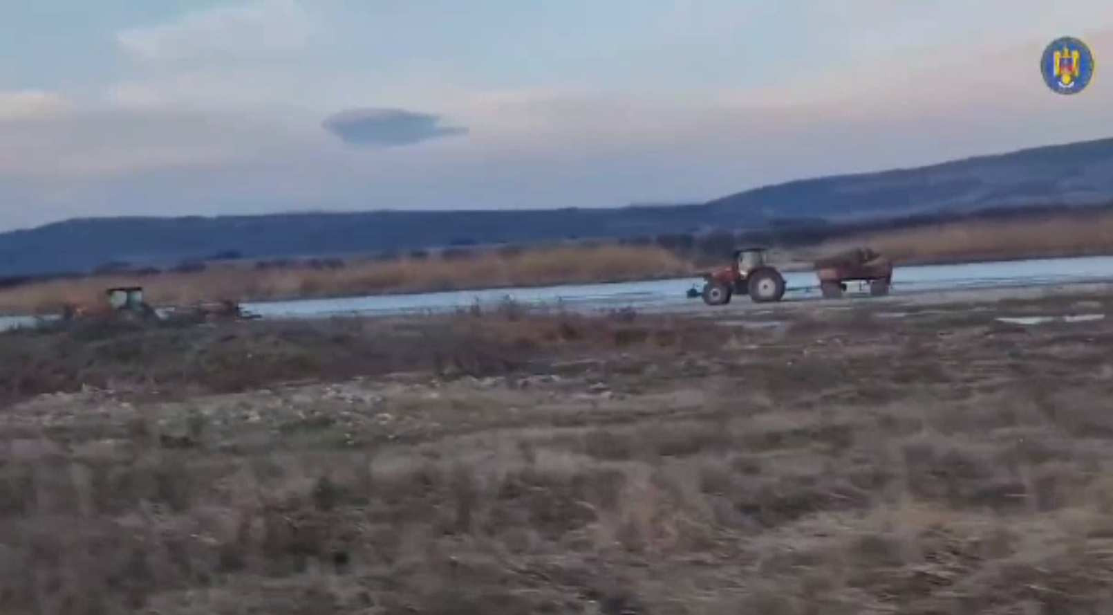 Hoți de lemne care au tăiat copacii într-o arie protejată, prinși de jandarmi la Orbeni, Bacău. Riscă șapte ani de închisoare