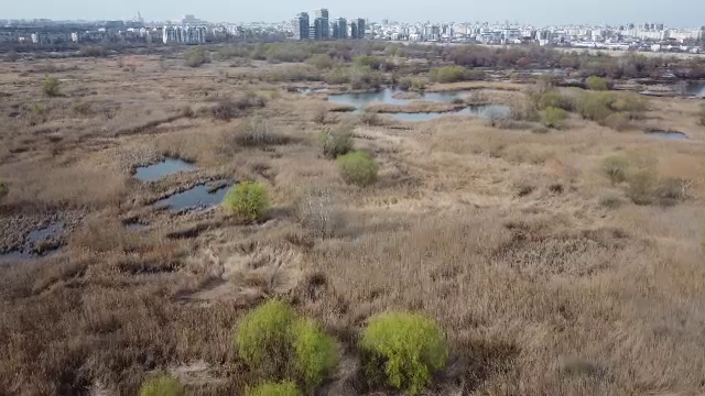 UE înăsprește legile pentru protecția mediului și vrea refacerea naturii distruse până în 2023. Exemplul de lângă București