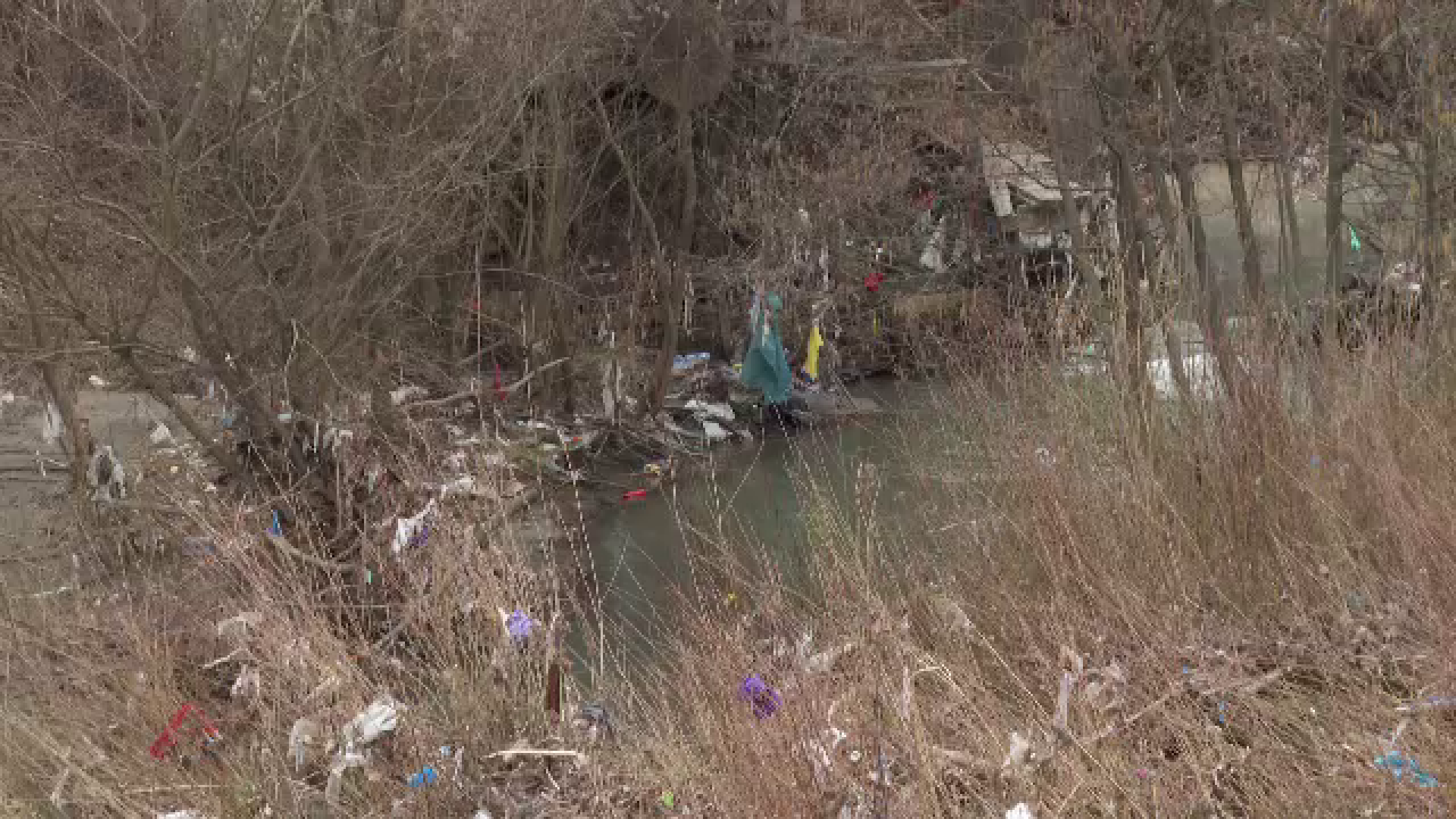 Dezastru pe malurile râului Bistrița Ardeleană. Sunt pline de PET-uri, resturi menajere sau chiar haine