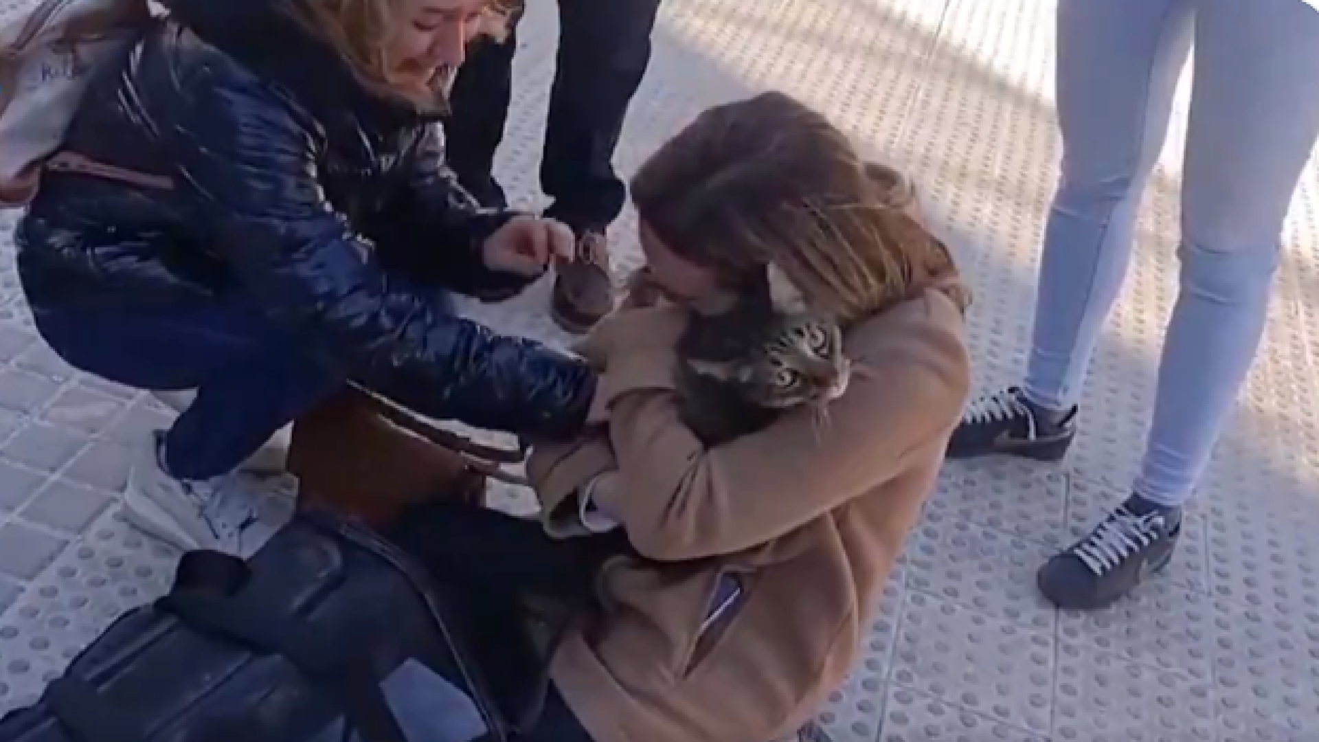 „L-am găsit din întâmplare". O pisică a supraviețuit opt zile sub dărâmăturile unui bloc devastat de incendiul din Valencia