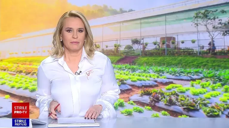 Micii producători și-au diversificat ofertele. Au mizat pe plante mai puțin cunoscute la noi: mizuna, kale sau pak choi