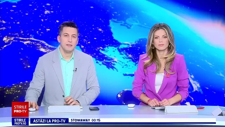 Amenda primită de un spaniol din Hunedoara care ținea peste 90 de câini într-un adăpost neautorizat