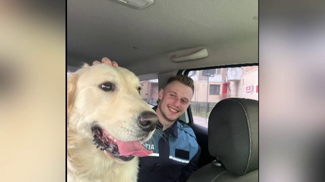 Momente emoționante în Piatra Neamț. Agenții de poliție au ajutat un cățeluș să-și regăsească stăpânul