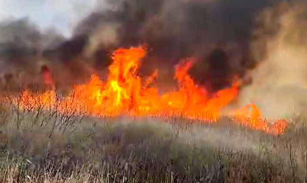 Incendiu de vegetație în Delta Neajlovului. Pompierii au intervenit aproape 12 ore